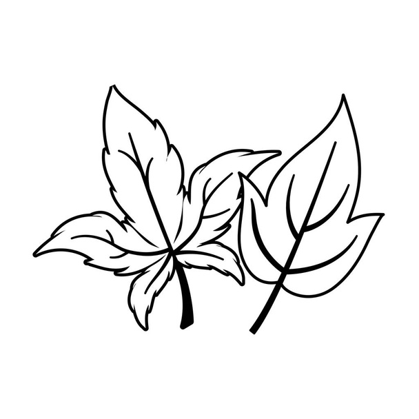 Isolé deux feuilles d'automne conception vectorielle
 - Vecteur, image