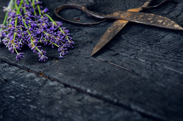 Lavanta çiçekleri, biberiye, nane, kekik, Melissa ve siyah tahta bir masanın üzerinde eski bir makas. Yanmış odun. Spa ve kozmetik veya aşçılık arka planı. - Fotoğraf, Görsel