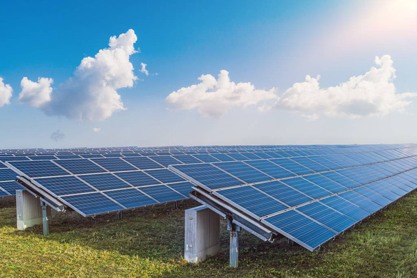 Koncepce alternativní a obnovitelné výroby energie. Mnoho fotovoltaických solárních panelů v elektrárně. - Fotografie, Obrázek