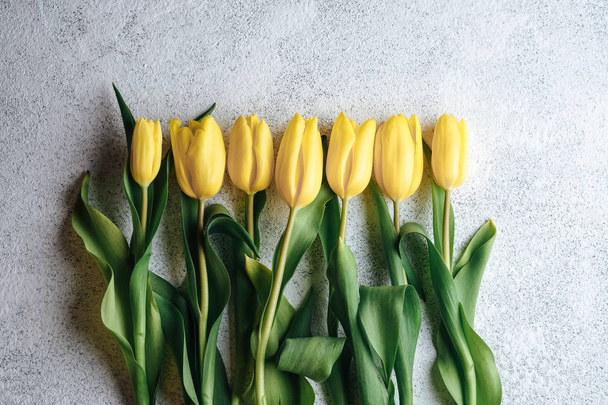 Een boeket gele tulpen op een lichte achtergrond. Voorjaarsbloemen. - Foto, afbeelding