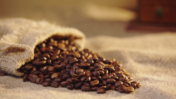 rack focus of fresh brewed coffee beans  - Filmati, video