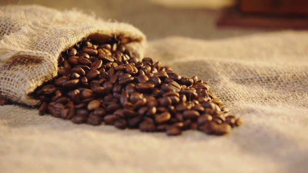selective focus of roasted coffee beans on canvas  - Filmati, video