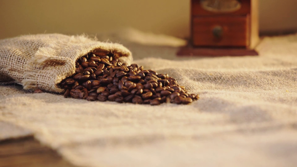 szelektív fókusz kávébab közelében kávéőrlő - Felvétel, videó