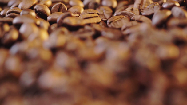 εστίαση έλξη των καβουρντισμένων κόκκων καφέ  - Πλάνα, βίντεο