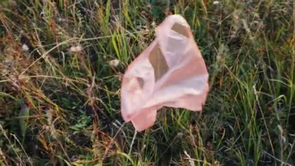 Een plastic zak gevangen op een struik. Ecologische catastrofe - Video