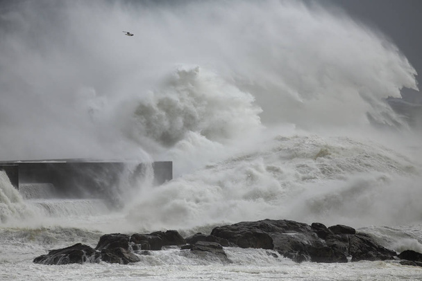 Stürmische Wellen plätschern - Foto, Bild