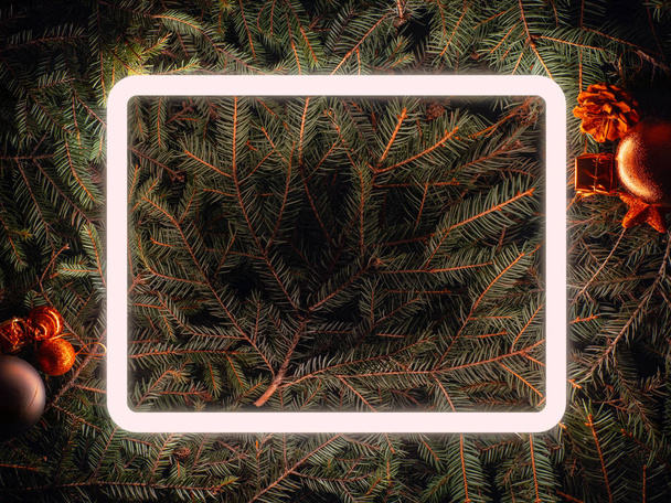 Creative fluorescent color layout made of spruce branches - Фото, изображение