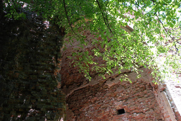 Fort a falu csótányok Dubensky kerület Rivne régió - Fotó, kép