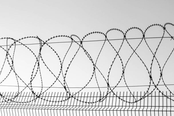 Barbed wire against the sky. Fencing at customs. Penetration protection. Safety methods. Forbidden entry. Steel mesh as a barrier. Fence as a jailbreak warning. - Photo, Image