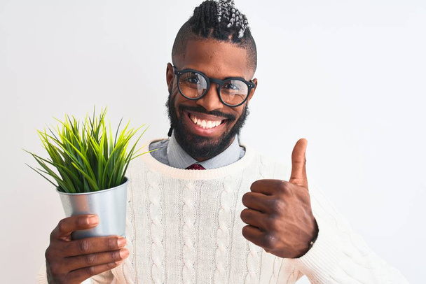 African american man with braids holding plant pot over isolated white background happy with big smile doing ok sign, thumb up with fingers, excellent sign - Foto, imagen