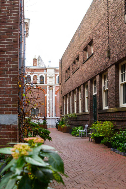 Kilátás keskeny utcára Amszterdamban. Történelmi, hagyományos és tipikus épületek és sok növény látható. Ez egy napos őszi nap.. - Fotó, kép