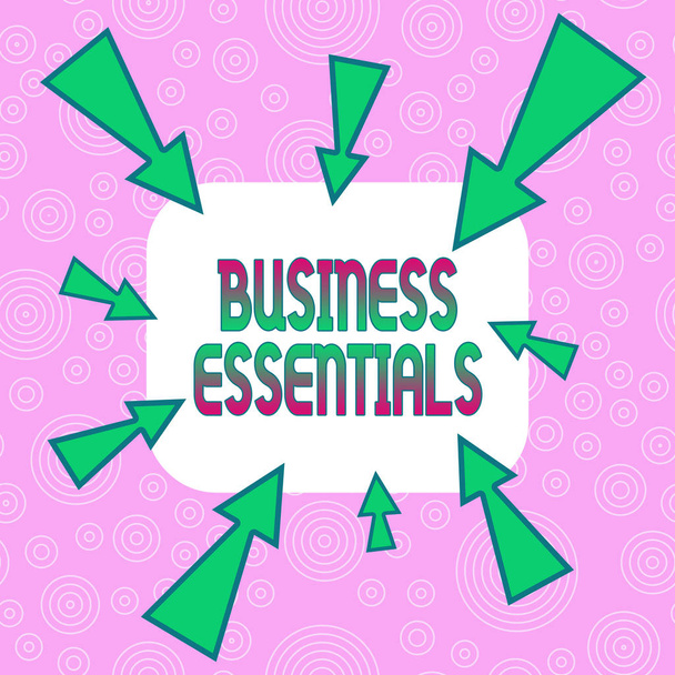 Conceptual hand writing showing Business Essentials. Business photo showcasing important key ideas to improve business skills Asymmetrical uneven shaped pattern object multicolour design. - Photo, Image