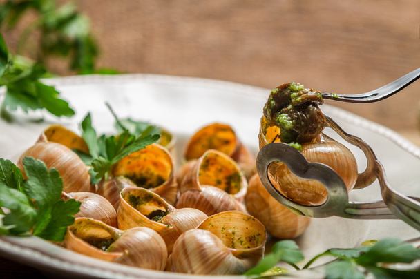 Closeup of eating the fried snails with garlic butter - 写真・画像