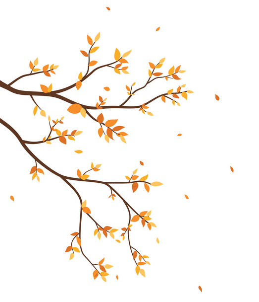 foglie di autunno su sfondo bianco, semplicemente illustrazione vettoriale
 - Vettoriali, immagini