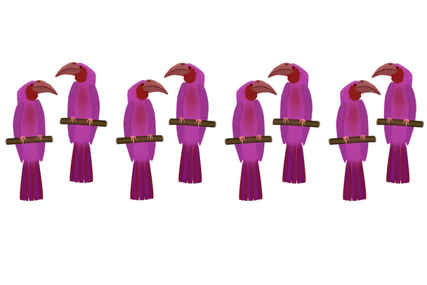 Purple parrots horizontally in a row on a white background. - Photo, Image