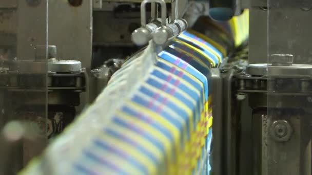 Dairy products on the factory milk packaging line. - Footage, Video