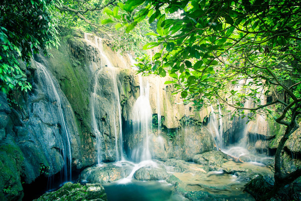 Árboles maduros y cascadas lechosas en la cascada Thac Voi, Thanh Hoa, Vietnam
 - Foto, Imagen