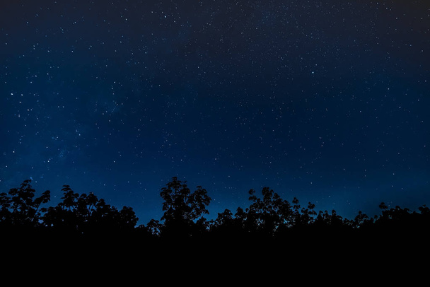 Starry Sky Landscape - Photo, Image