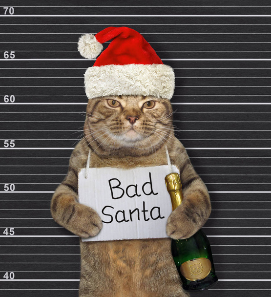 Katze böser Weihnachtsmann mit Wein im Gefängnis 2 - Foto, Bild