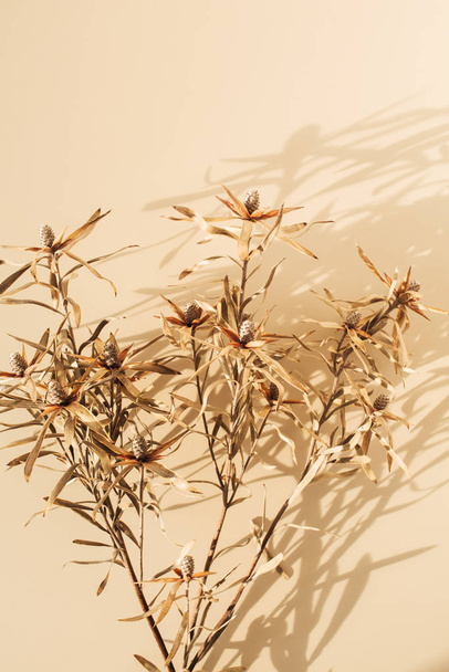 Dry flower branches on pastel beige background. Minimal floral composition. - Photo, Image