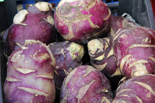 Raw Organic Purple Kohlrabi on a farmer market. Root veggie back - Fotografie, Obrázek