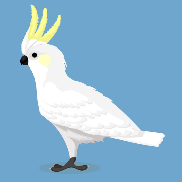 Yellow crested cockatoo type bird cartoon vector - Vektor, Bild