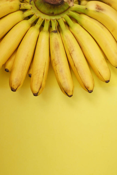 Butch of small bananas isolated on yellow paper background.  empty copy space for inscription.  - 写真・画像