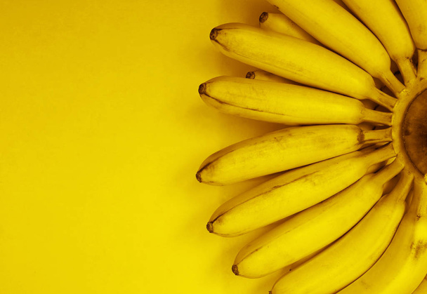 Butch of small bananas isolated on yellow paper background.  empty copy space for inscription.  - 写真・画像