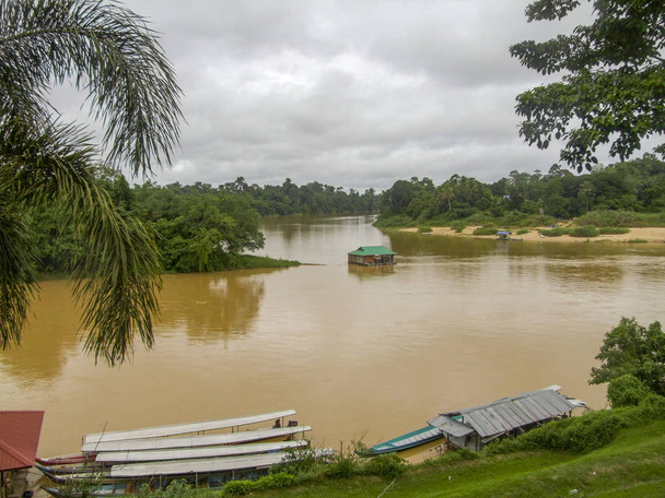 Rzeka Pahang w Malezji - Zdjęcie, obraz