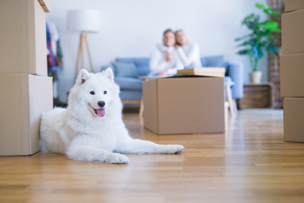 Young beautiful couple with dog sitting on the sofa at new home around cardboard boxes - Photo, Image