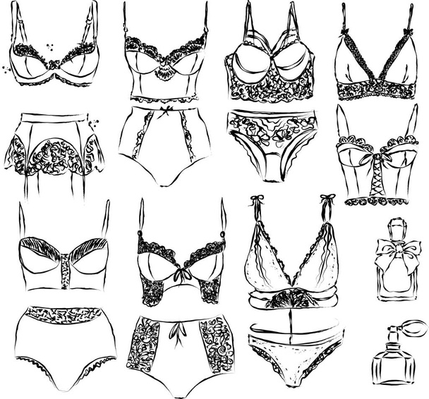 Set of lingerie elements.Vector - ベクター画像