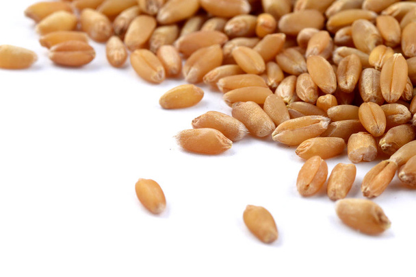 Heap of Wheat grains on a white background, close up. - Fotó, kép