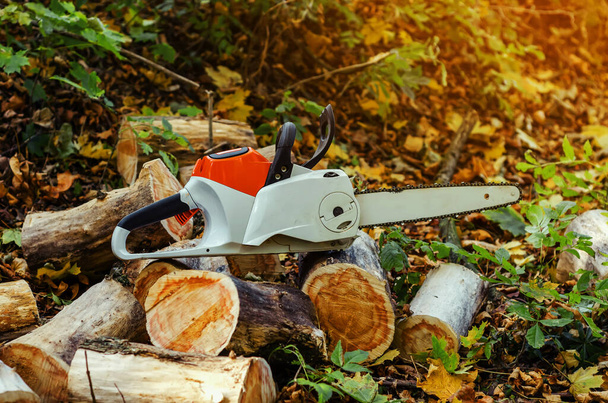 Electric chain saw in the forest lies on cut logs - Zdjęcie, obraz