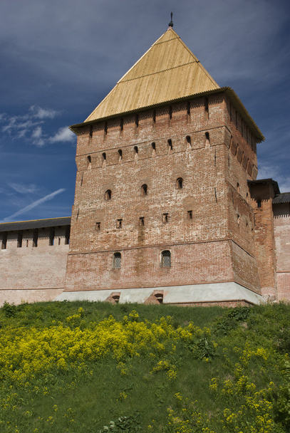 Tower of a fortress - Фото, изображение
