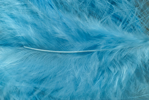 Κοντινό πλάνο Όμορφες μπλε τάσεις φτερά πουλιών μοτίβο υφή φόντο. Μακροσκοπική προβολή φωτογραφίας.  - Φωτογραφία, εικόνα