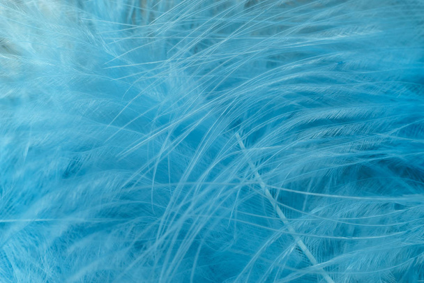 Close up Belle tendenze blu uccello piuma modello texture sfondo. Macro vista fotografica
.  - Foto, immagini