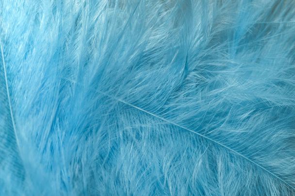 閉じる美しい青の傾向鳥の羽のパターンのテクスチャの背景。マクロ写真ビュー.  - 写真・画像