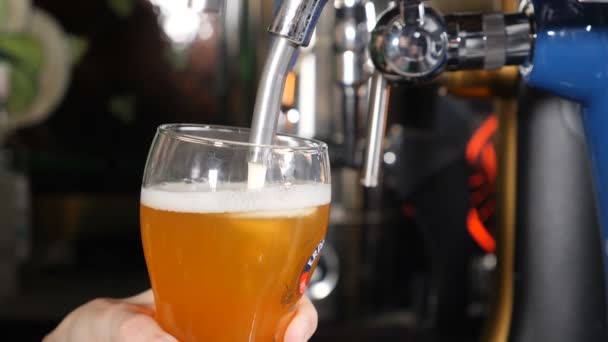 黒のパブの背景にグラスでビールを注ぐと泡が近いスローモーション。泡や泡を作るガラスに黄金のビールが注がれています。HDビデオ - 映像、動画