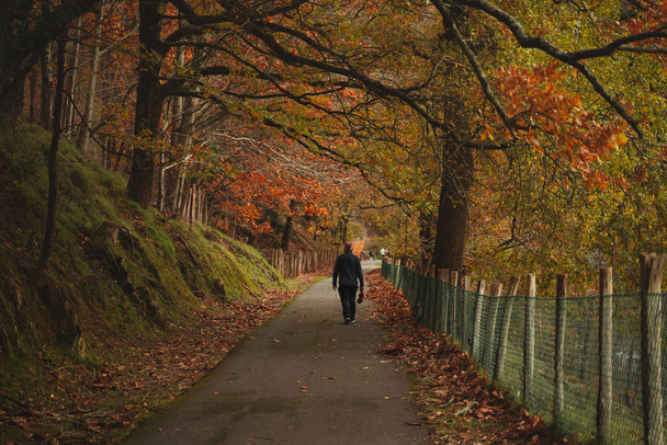Sonbaharda yolda yürüyen emekli bir adam. - Fotoğraf, Görsel
