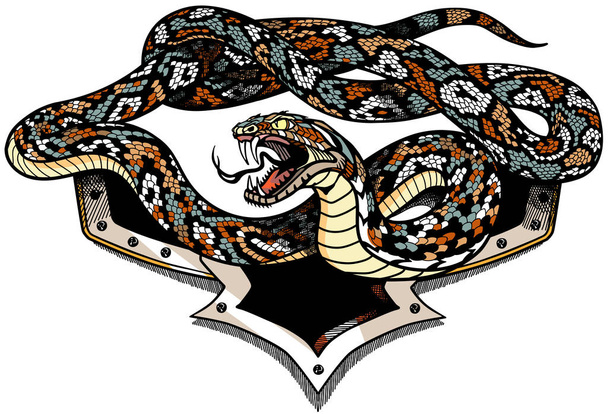 Angry snake with an open mouth - Vector, Image