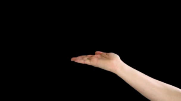 männliche Hand halten - Filmmaterial, Video
