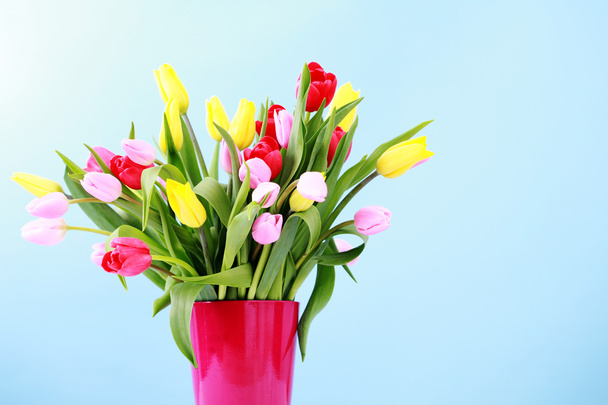Um bando de tulipas
 - Foto, Imagem