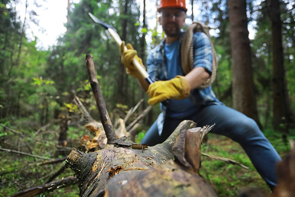 Male worker with an ax chopping a tree in the forest. - Photo, image