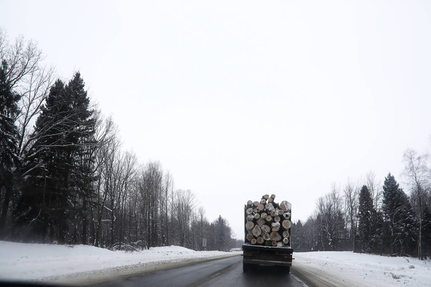 Un camión transporta troncos en la parte de atrás. Camión de madera
 - Foto, imagen