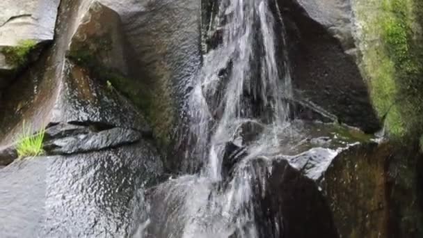 Small river waterfall. Closeup tilting shot. Europe, Ukraine, Carpathian Mountains - Filmagem, Vídeo