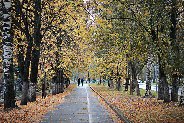 Chuva de outono no parque
 - Foto, Imagem