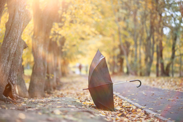Осенний фон в парке
 - Фото, изображение