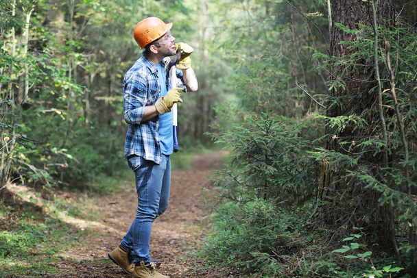 Male lumberjack in the forest. A professional woodcutter inspect - Photo, Image