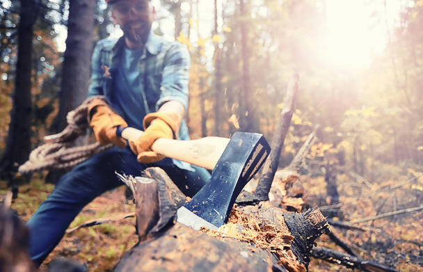 Male worker with an ax chopping a tree in the forest. - Foto, Bild
