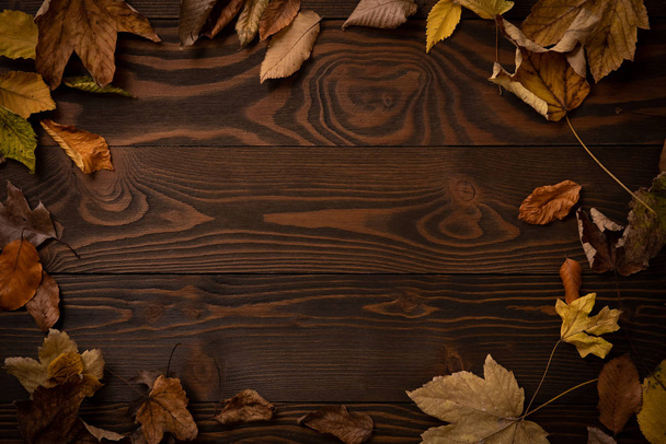 podzimní listy na dřevěném pozadí - Fotografie, Obrázek